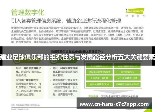 建业足球俱乐部的组织性质与发展路径分析五大关键要素 建业足球俱乐部的组织性质与发展路径分析五大关键要素
